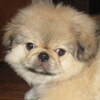 Our youngest baby.