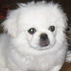 Our third-oldest baby boy.