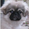 Our oldest baby boy.
